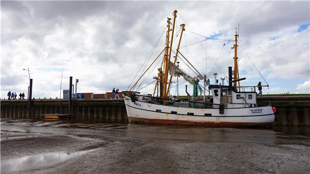 Verschlickt: Olaf Schmidts Krabbenkutter „Claudia“ hat den geringsten Tiefgang aller Kutter im Wremer Hafen. Doch auch er hat bei Hochwasser Mühe, sein Schiff im Hafen zu manövrieren.