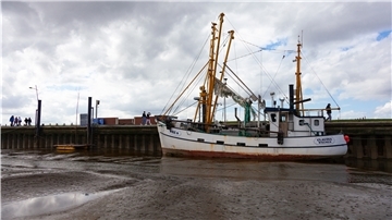 Verschlickt: Olaf Schmidts Krabbenkutter „Claudia“ hat den geringsten Tiefgang aller Kutter im Wremer Hafen. Doch auch er hat bei Hochwasser Mühe, sein Schiff im Hafen zu manövrieren.