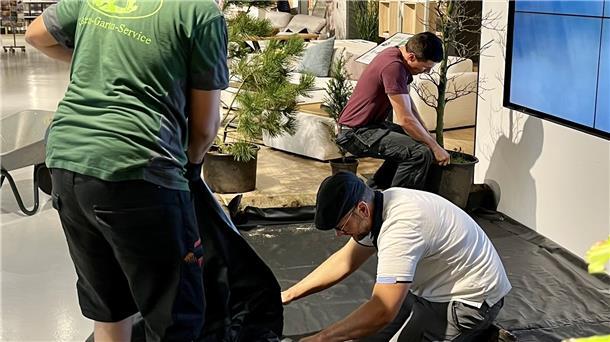 Bad Bederkesa: Ein Baum für jeden Möbelkauf Viel gearbeitet haben die Handwerker, um im Eingangsbereich der Kemner Home Company eine Waldkulisse zu errichten.