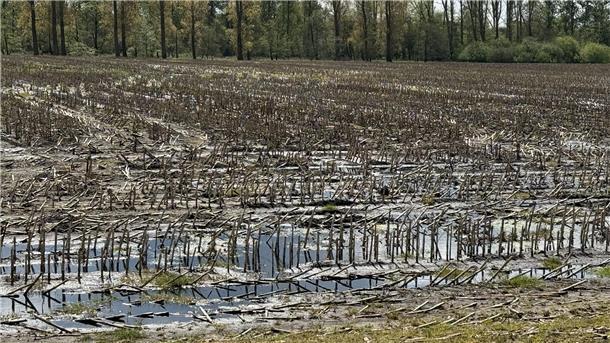 Viele landwirtschaftliche Flächen sind derzeit nicht befahrbar.