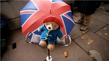 Viele Menschen haben nach dem Tod der Queen Paddington-Plüschtiere vor dem Buckingham Palast abgelegt.