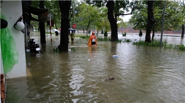 Rekordregen in Vietnam – historische Städte unter Wasser Viele Straßen in Hue standen unter Wasser.