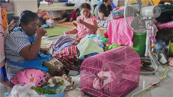 Druck von Trump auf Thailand und Kambodscha – neue Kämpfe Viele Vertriebene haben ihr Hab und Gut samt Haustieren in Sicherheit gebracht.