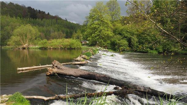 Vielerorts ist die ehemalige Grenzregion zum Naturidyll geworden. (Archivbild)