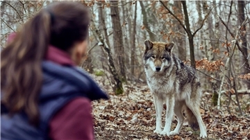 Viola Delbrück (Yvonne Catterfeld) kommt im Krimi „Wolfsland - Schwarzer Spiegel“ immer wieder ins Staunen. 