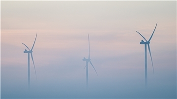 Vögel fliegen am frühen Morgen im Nebel vor Windrädern entlang.