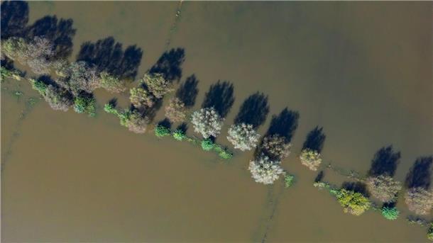 1,5 Grad sind übertroffen - ist das 1,5-Grad-Ziel verfehlt? Vom Hochwasser des Flusses Oder sind im September 2024 Wiesen vor der Stadt Frankfurt (Oder) überflutet. (Archivbild)