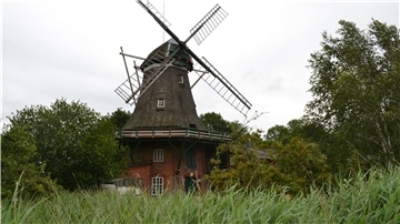 Vom Verfall bedroht: Die denkmalgeschützte Dedesdorfer Mühle. Nun gibt es wieder Hoffnung für das Bauwerk.