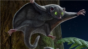 Vor 150 Millionen Jahren schlichen Säugetiere wohl in braunem Fell umher.