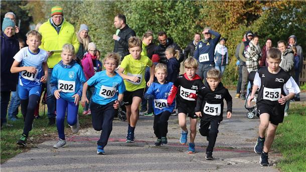 Crosslauf-Kreismeisterschaften in Tossens