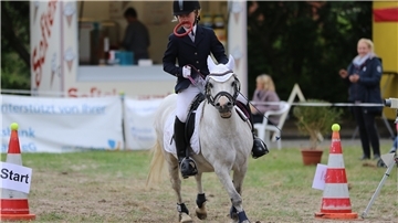 Reitturnier der TG Weser-West in Blexen