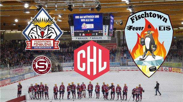 Liveticker: Die Fischtown Pinguins und ihr Abenteuer in Prag Bild aus der Eisarena