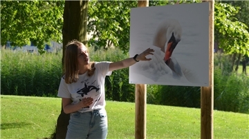 Junge Frau zeigt bei einer Outdoor-Ausstellung auf ein großformatiges Foto eines Schwans; im Hintergrund grüne Wiese und Bäume.