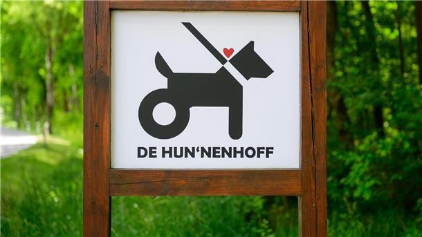 Gnadenhof für gelähmte Hunde kämpft um das Überleben Wegen fehlender Spenden kämpft der Gnadenhof um das Überleben.