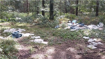 Wegen illegaler Abfallentsorgung in einem Waldstück bei Hagen ermittelt die Polizei.