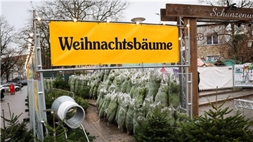 Weihnachtsbäume haben in Deutschland eigentlich immer Nadeln. (Archivbild)