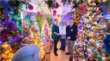 Weihnachtsbäume über Weihnachtsbäume schmücken ein Haus in Niedersachsen (Foto aktuell). 
