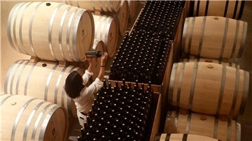 Wein in Fässern und Flaschen: Die Produktion könnte einer Branchenschätzung zufolge in diesem Jahr auf den niedrigsten Stand seit 60 Jahren zurückgehen.