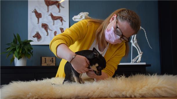 Wencke Eymers demonstriert an ihrem Hund: Gesundheitschecks, Dehnübungen und Entspannungsmassagen.