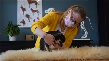 Wencke Eymers demonstriert an ihrem Hund: Gesundheitschecks, Dehnübungen und Entspannungsmassagen.