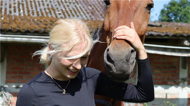 Frau legt Hand auf Stirn von Pferd