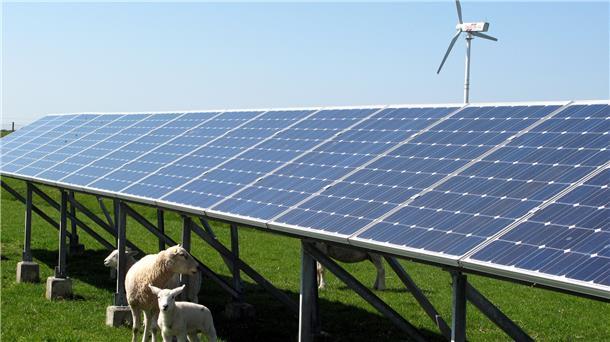 Wenn nicht der Eigennutzung von Sonnenstrom, sondern der Stromproduktion Priorität eingeräumt werde, müsse nicht jedes geeignete Dach mit PV-Modulen bestückt werden. „Dann können wir die Anlagen auch auf die Erde stellen“, meint Zevens Samtgemeindebürgermeister Henning Fricke. 