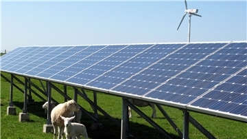 Wenn nicht der Eigennutzung von Sonnenstrom, sondern der Stromproduktion Priorität eingeräumt werde, müsse nicht jedes geeignete Dach mit PV-Modulen bestückt werden. „Dann können wir die Anlagen auch auf die Erde stellen“, meint Zevens Samtgemeindebürgermeister Henning Fricke. 
