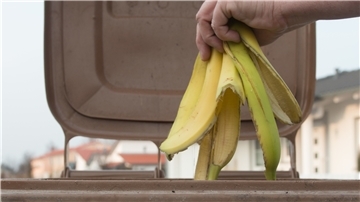 Wer bisher die Bananenschale und andere Küchenabfälle in den Restmüll geworfen hat, muss sich ab dem 1. Januar umgewöhnen. Dann führt der Landkreis die Bio-Tonne ein.