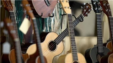 Mehrere Ukulelen hängen an einer Wand. 