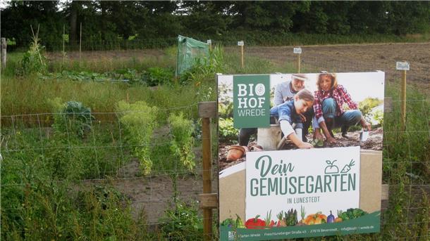 Wer gerne Gemüse züchten möchte, aber zuhause keinen platz dazu hat, kann dies nun in einem Projekt des Biohof Wrede in Lunestedt.