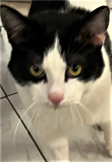  Kater Jackson 