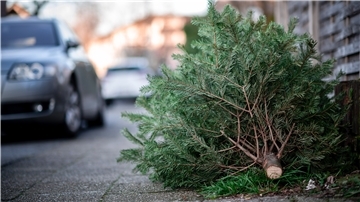 Wer seinen ausgemusterten Weihnachtsbaum nicht in der Biotonne entsorgen kann, muss sich auf den Weg zum Recyclinghof machen.