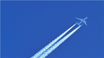 Wer was Fliegen verzichtet verbessert seine CO2-Bilanz klar.