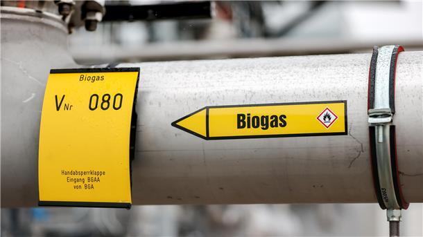 Wie groß ist das Interesse an einem Biogas-Wärmenetz in Rhadereistedt? Das möchten die Gemeinde Rhade und das Unternehmen Veolia wissen, das eine Anlage im Rhadereistedter Industriegebiet betreibt.