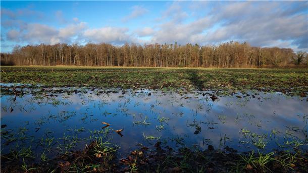 Wie viel Wasser darf’s denn sein? Um die Vernässung der Moorböden ist ein erbitterter Streit entbrannt.