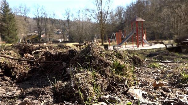 Wildschweine haben einen Spielplatz in Osterode umgepflügt.