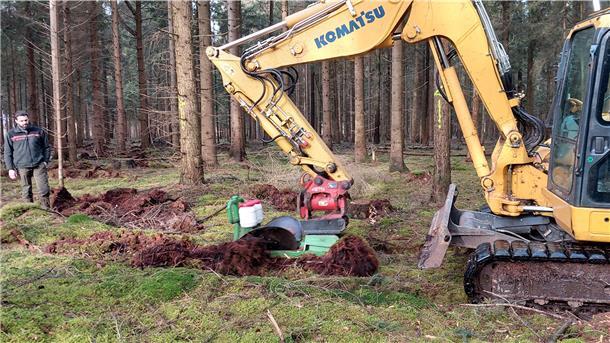Wilhelm Ruthe vom Maschinenstützpunkt des Forstamtes Harsefeld in Nienburg zieht mit dem Scheibenräumgerät die Furchen. Aus den Behältern am Ausleger fällt die Weißtannensaat auf den Boden.