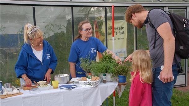 Zwei Frauen stehen an einem Stand, auf dem Kräuter stehen.
