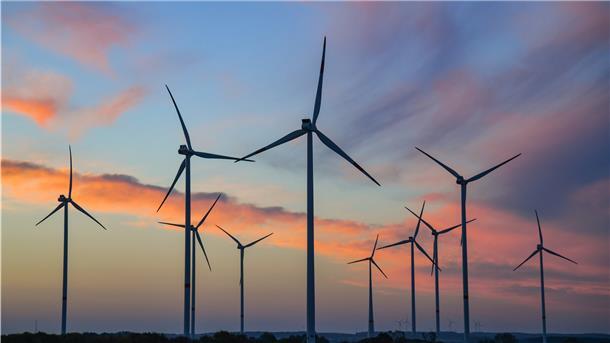 Kranich und Milan contra Windräder Windräder der aktuellen Bauart ragen bis 270 Meter in die Höhe. Im Dreieck zwischen Brüttendorf, Wistedt und Wehldorf soll nach dem Willen des Kreises ein Windpark entstehen.