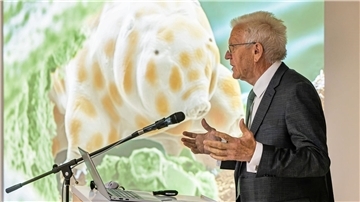 Winzig und doch bärenstark: Die neu entdeckte Bärtierchenart „Ramazzottius kretschmanni“.