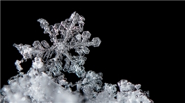 Winzige Wasserteilchen und Staubkörner spielen die entscheidenden Rollen, wenn es um die Entstehung von Schneeflocken geht.