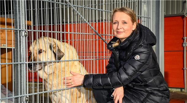 „Die Hilfsbereitschaft hat uns überwältigt“ „Wir haben palettenweise Hundefutter erhalten“, sagt Tierheim-Leiterin Amelie Bensch über die Spendenbereitschaft in Corona-Zeiten. Kangal-Hündin Maxi dürfte sich darüber sehr gefreut haben.