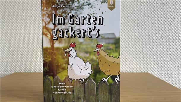 Buchcover.