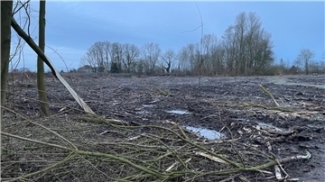 Strandwald Nordenham, Brachfläche