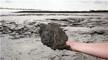 Wo einst Sand und Wasser waren, lagert nun Schlick. Ein Bild vom Nordenhamer Weserufer.