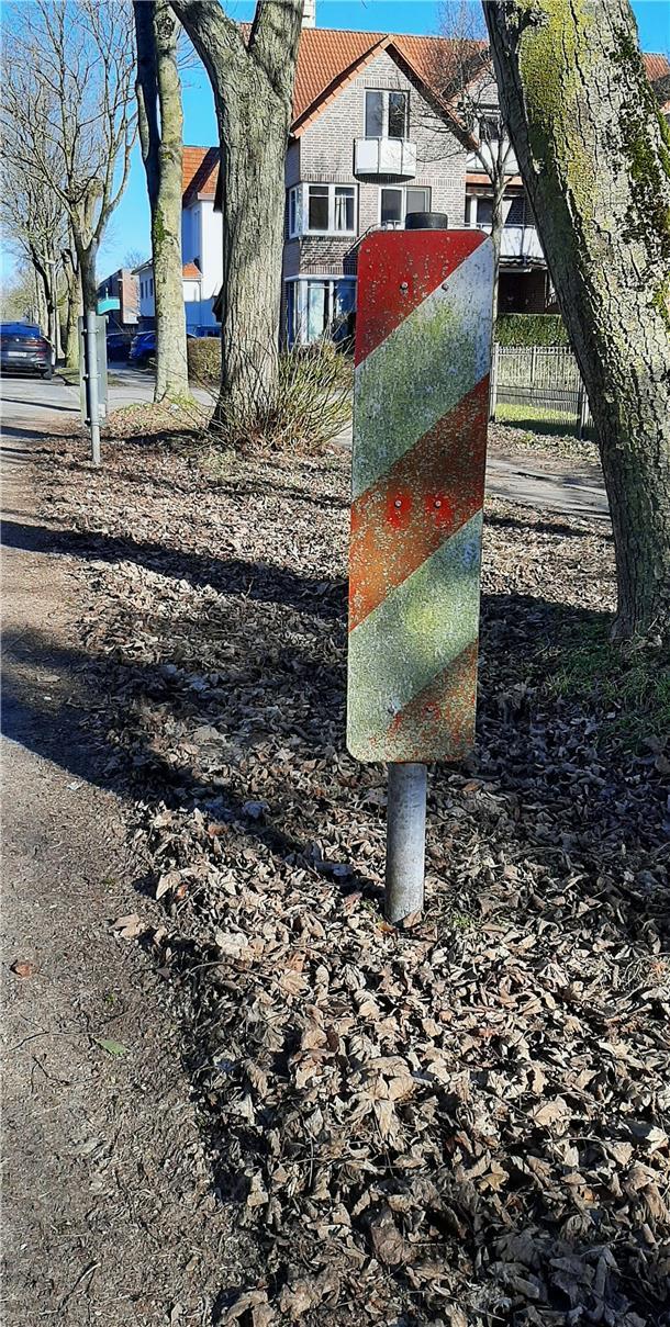 Wie es auch gehen könnte: Kartoffeln statt Asphalt Wo hört der Gehweg auf, wo beginnt der "Kartoffelacker"? Man kann es nicht mehr sehen.