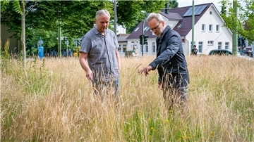 Wo Wildwuchs erwünscht ist: Thomas Reinicke (rechts) und Mathias Neumann vom Gartenbauamt vor dem Gesundheitsamt an der Wurster Straße.