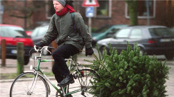 Wohin mit dem Tannenbaum? In Nordenham gibt es am Samstag gleich zwei Angebote, die ausrangierten Weihnachtsbäume schreddern zu lassen.
