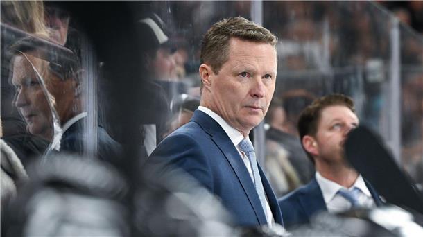 Wolfsburgs Eishockey-Trainer Mike Stewart.
