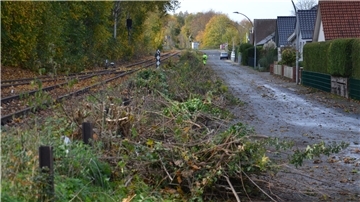 Wo die Säge kreist, da gibt‘s Kritik Wut, Trauer und Entsetzen spüren Anwohner der Straße An der Kleinbahn in Zeven ob des radikalen Gehölzrückschnitts vor der Haustür.